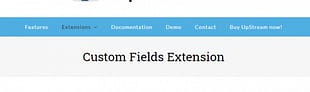 UpStream Custom Fields