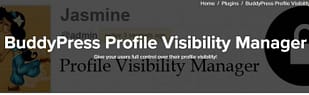 BuddyPress Profile Visibility Manager