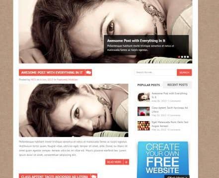MyThemeShop Saturation WordPress Theme