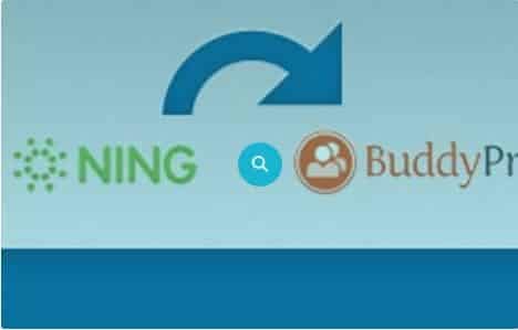 WPMU DEV Ning To BuddyPress WordPress Plugin