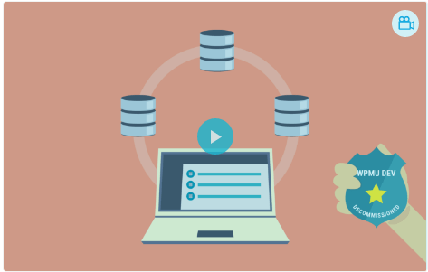 WPMU DEV Multi-DB WordPress Plugin