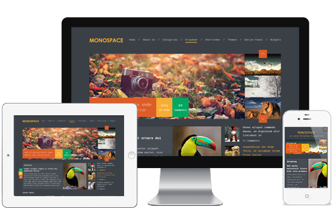 MyThemeShop Monospace WordPress Theme