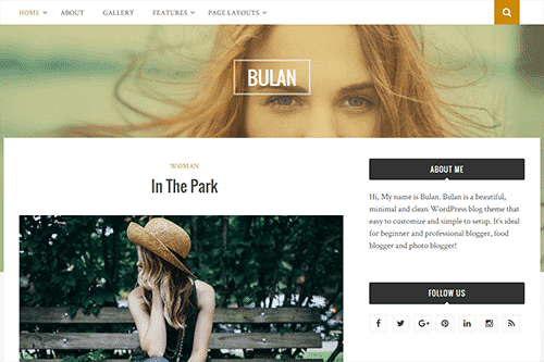 Theme Junkie Bulan WordPress Theme