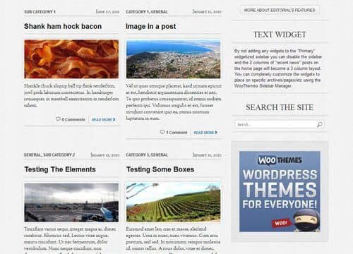 WooThemes Editorial Premium Theme
