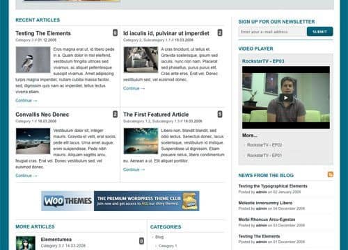 WooThemes The Station Premium Theme