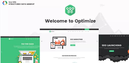 Optimize - SEO