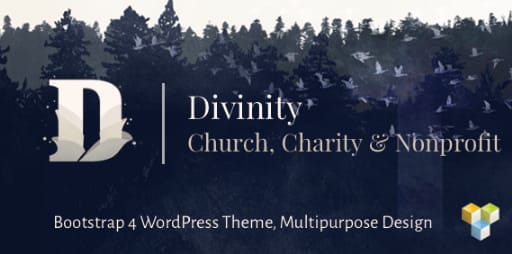 Divinity - Church& Nonprofit wordpress theme