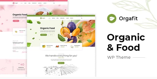 OrgaFit - Organic and Health WordPress Theme