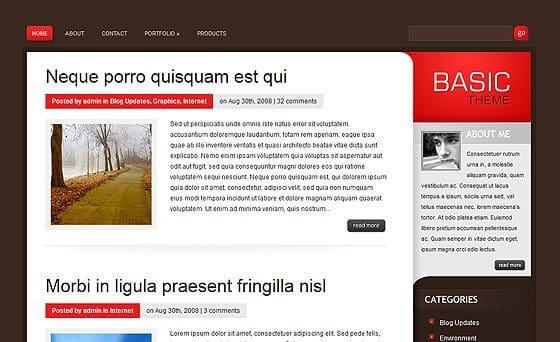 Elegant Themes Basic WordPress Theme