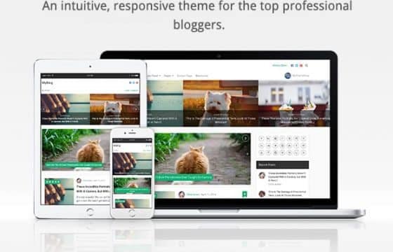 MyThemeShop MyBlog WordPress Theme