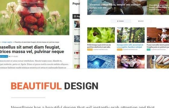 MyThemeShop NewsPaper WordPress Theme