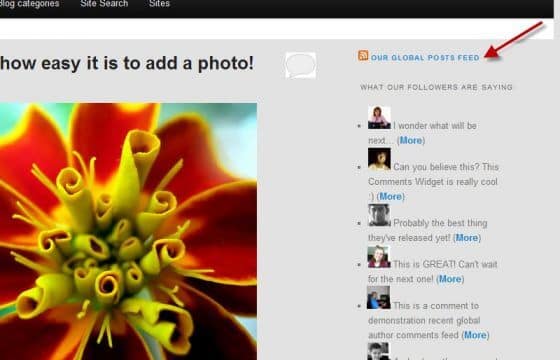 WPMU DEV Recent Global Posts Feed