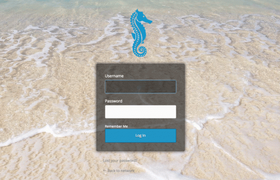 WPMU DEV Ultimate Branding