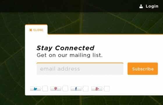 WPMU DEV Slide In