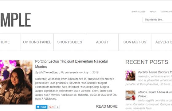 MyThemeShop Simple WordPress Theme