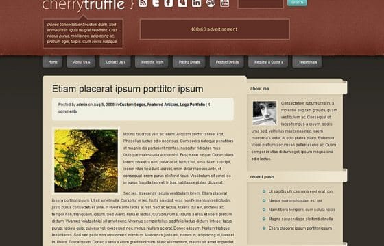 Elegant Themes CherryTruffle WordPress Theme