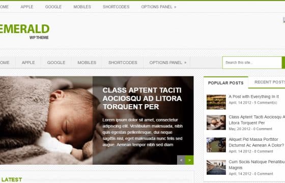 MyThemeShop Emerald WordPress Theme