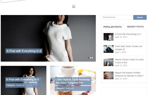 MyThemeShop Flick WordPress Theme