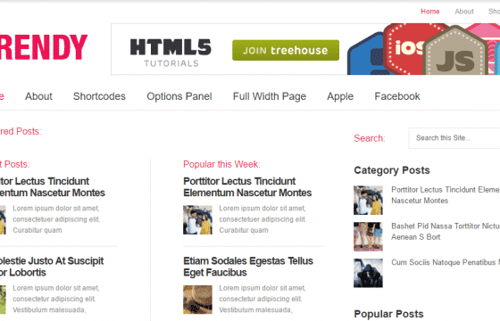 MyThemeShop Trendy WordPress Theme