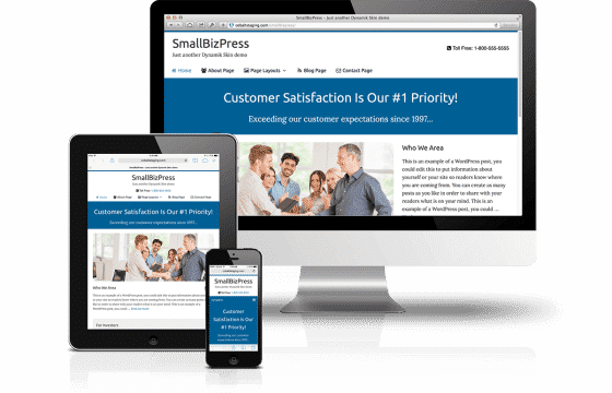 CobaltApps SmallBizPress Skin for