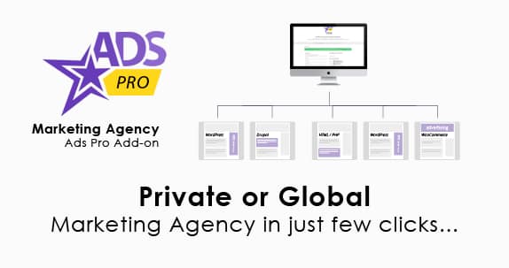 Ads Pro Add-on - WordPress
