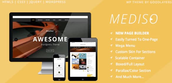 Mediso - Corporate / One-Page