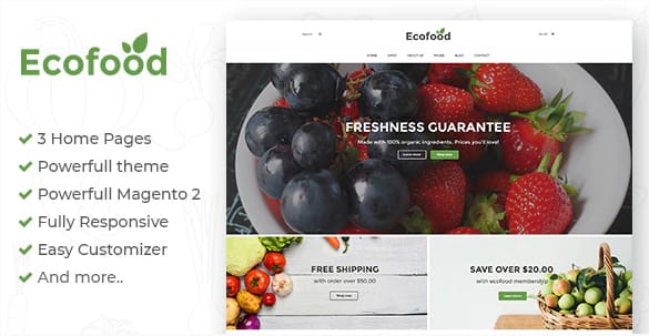 Ecofood - Responsive Organic Store Magento