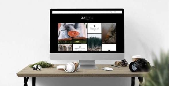 Killeen - Portfolio Showcase Drupal