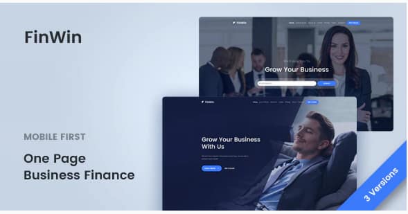 FinWin - One Page Business Finance Template