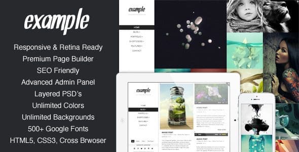 Example-Responsive And Retina Portfolio WP Theme