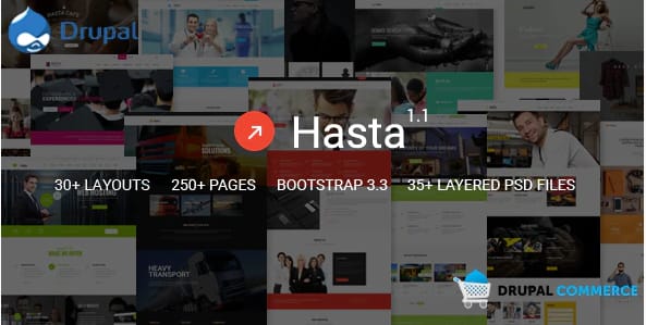 Hasta - Multipurpose Responsive Commerce