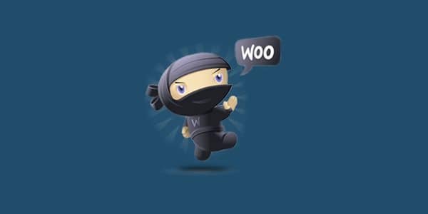 WP Rich Snippets WooCommerce
