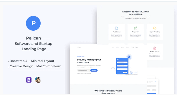 Pelican Startup and Software