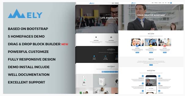 Mely - Responsive Business Drupal
