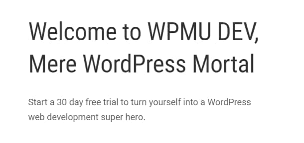 WPMU DEV Branda /