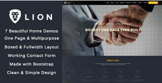 Lion - One Page &