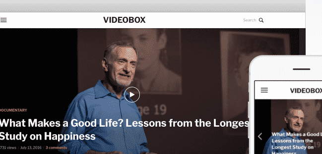WPZoom Videobox WordPress Theme