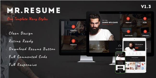 Mr.Resume - One Page