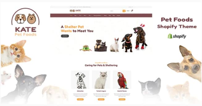 Kate - Pet Store and Pet Food Shopify Theme
