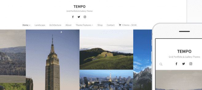 WPZoom Tempo WordPress Theme