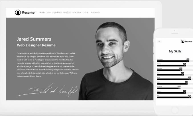 VisualModo Resume WordPress Theme