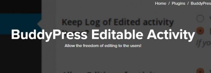 BuddyPress Editable Activity