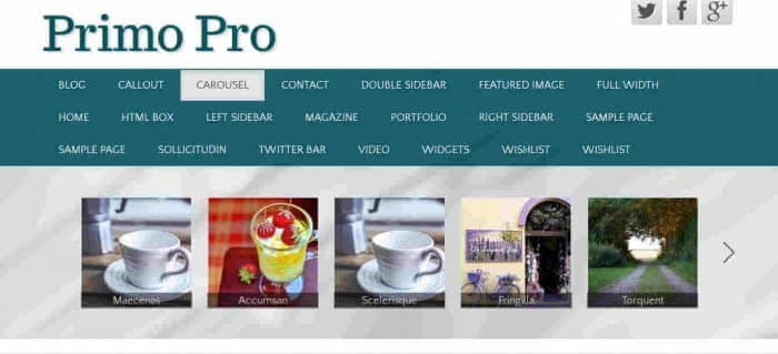 CyberChimps Primo Pro WordPress Theme