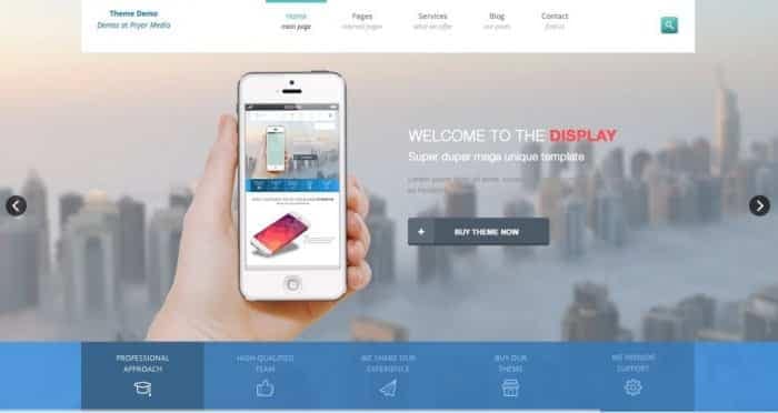 Tesla Themes Display WordPress