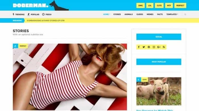 CSSIgniter Doberman WordPress Theme