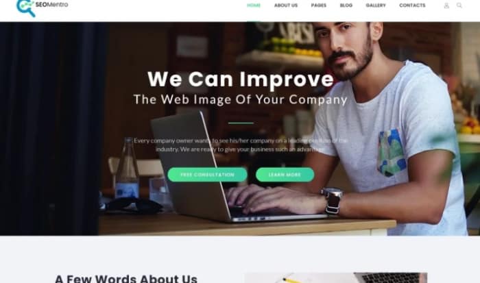 SEOMentro - SEO Agency Responsive Clean Joomla Template