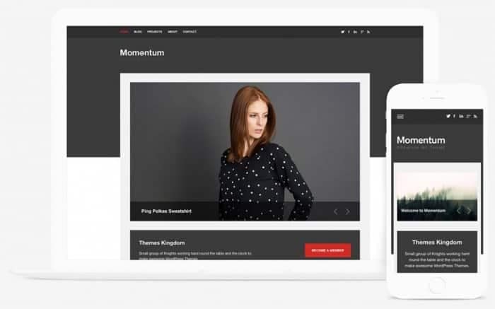 Themes Kingdom Momentum WordPress