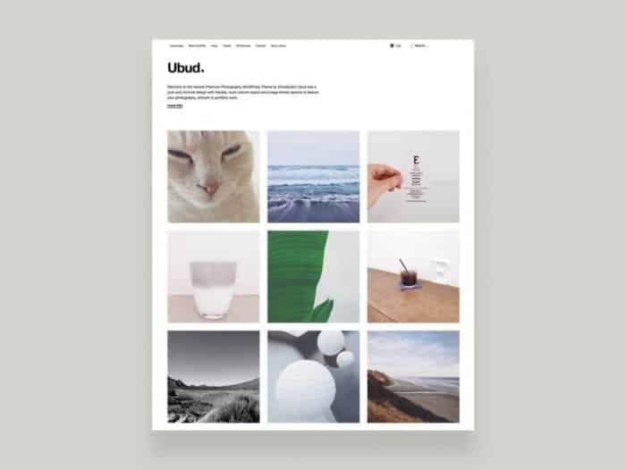 Elmastudio Ubud WordPress Theme