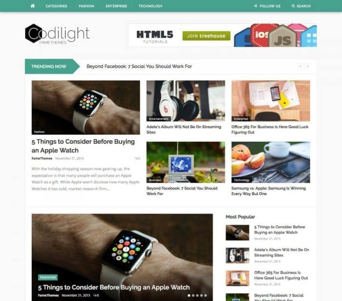 FameThemes Codilight WordPress Theme
