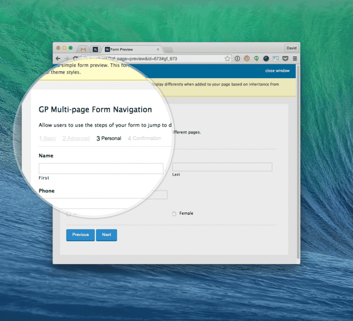 Gravity Perks Multi-page Form Navigation Plugin
